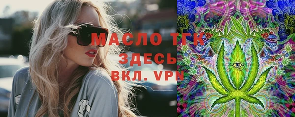 метадон Богданович